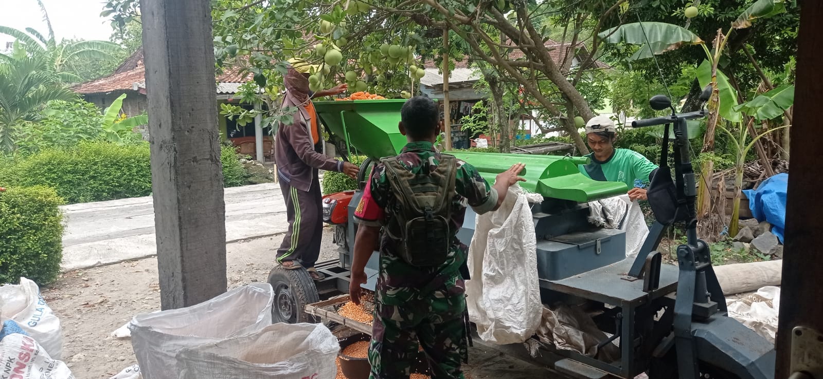 Wujudkan Pendampingan Babinsa Bantu Warga Binaan Giling Padi
