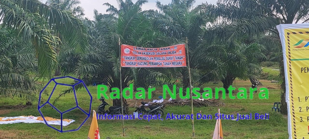 Asset Negara Kebun Penara PTPN II Beralih Ke Mafia Tanah ???