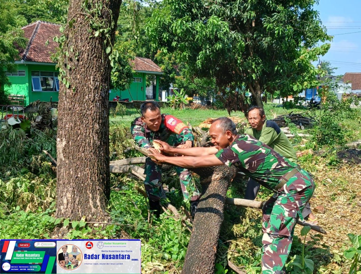 Babinsa Bersama Warga Gotong Royong Pangkas Pohon Besar di Pinggir Jalan, Keamanan dan Kenyamanan Jalan Terjaga