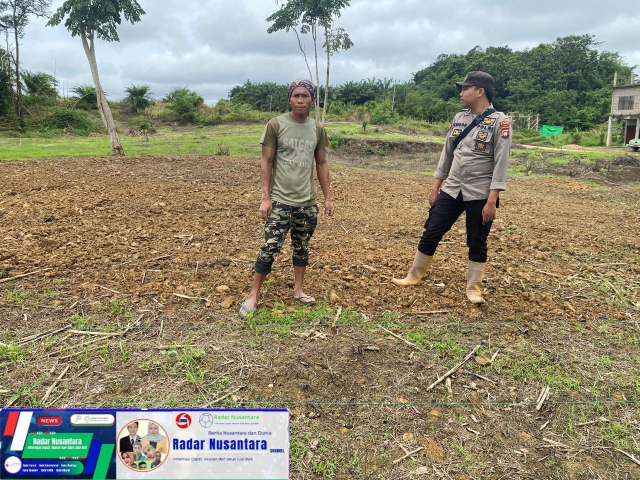 Polsek Meranti Intensifkan Cek Progres Tanamaan Jagung Hibrida